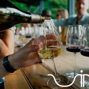 Curso de cata de vinos en Málaga. Escuela Vináliti