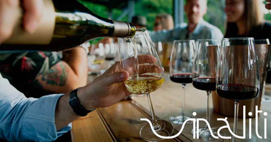 Curso de cata de vinos en Málaga. Escuela Vináliti