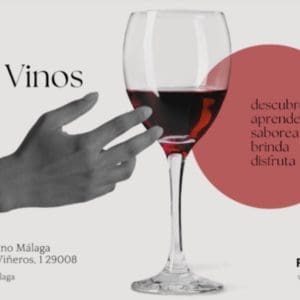 Próximos cursos y catas en el museo del vino de Málaga
