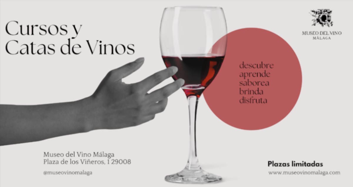 cursos y catas en el museo del vino malaga