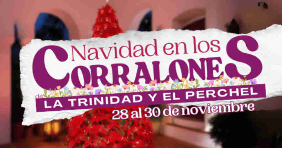 Programa Navidad corralones de Málaga 2024