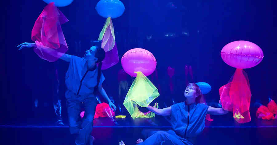 plancton teatro
