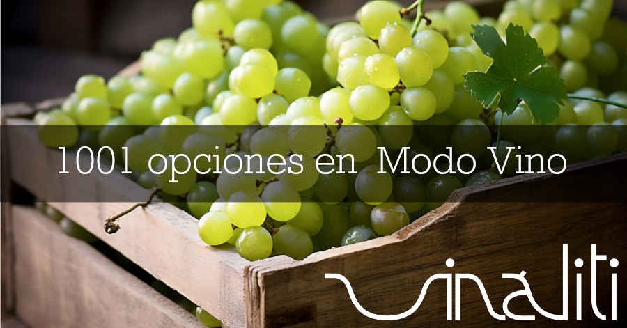 venta de Vinos y cursos vinaliti