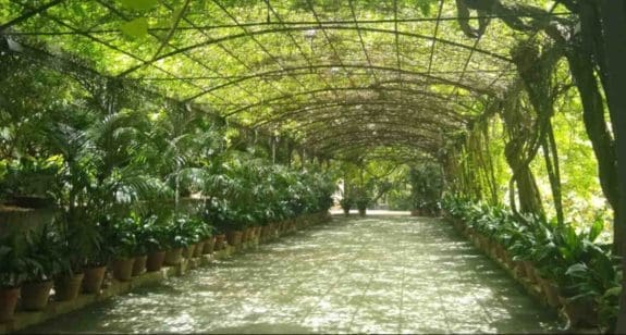 visita jardin botanico la concepcion malaga