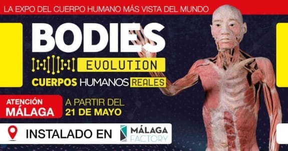 exposicion bodies evolution malaga