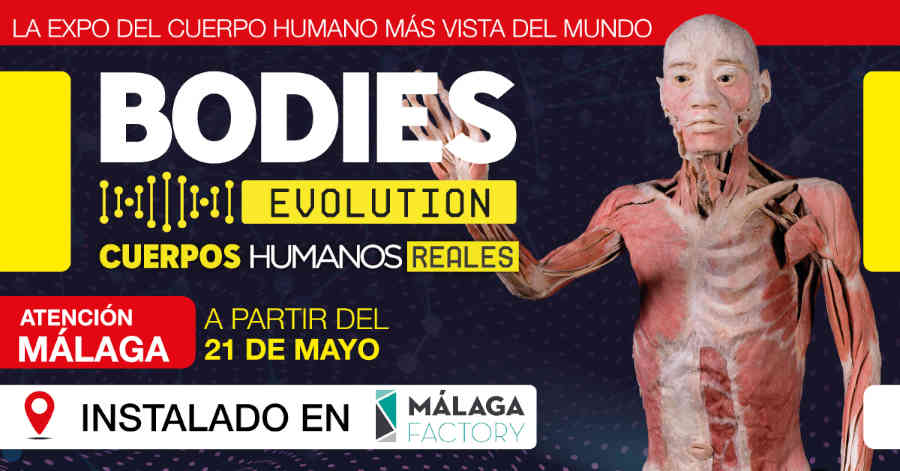 exposicion bodies evolution malaga
