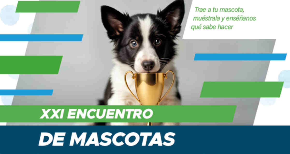 encuentro mascotas torremolinos