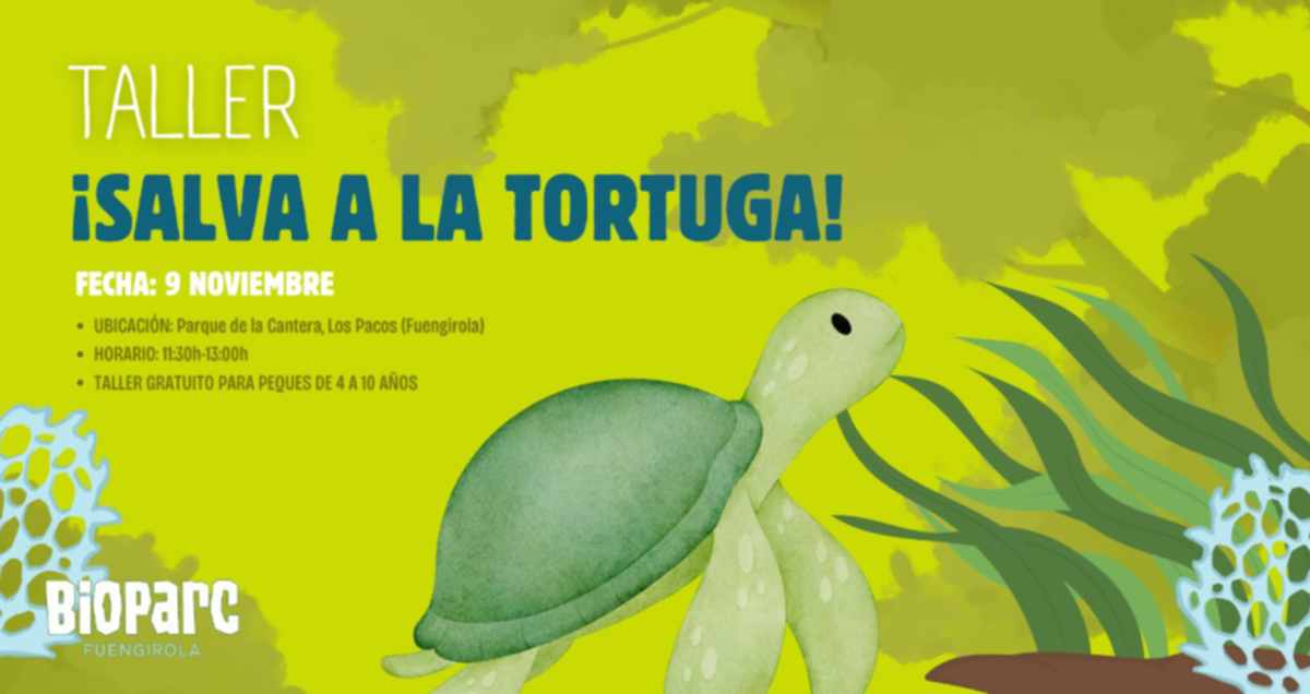 taller bioparc salva a la tortuga taller bioparc salva a la tortuga