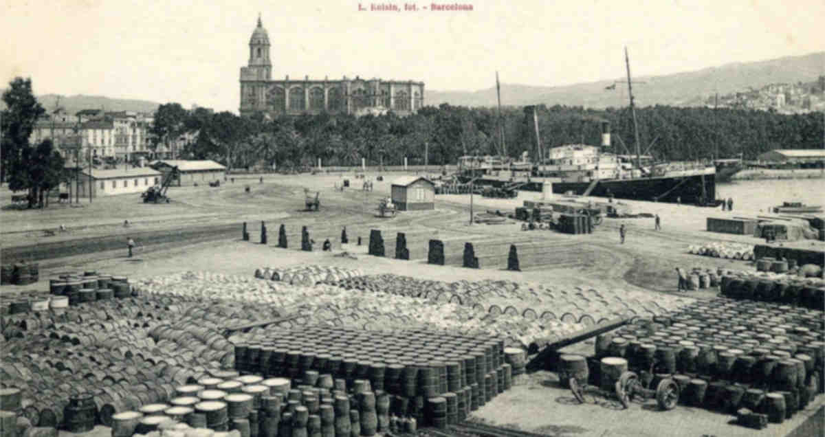 ruta sobre vinos en malaga vinaliti