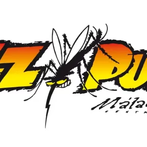 programa musica en vivo malaga zzpub