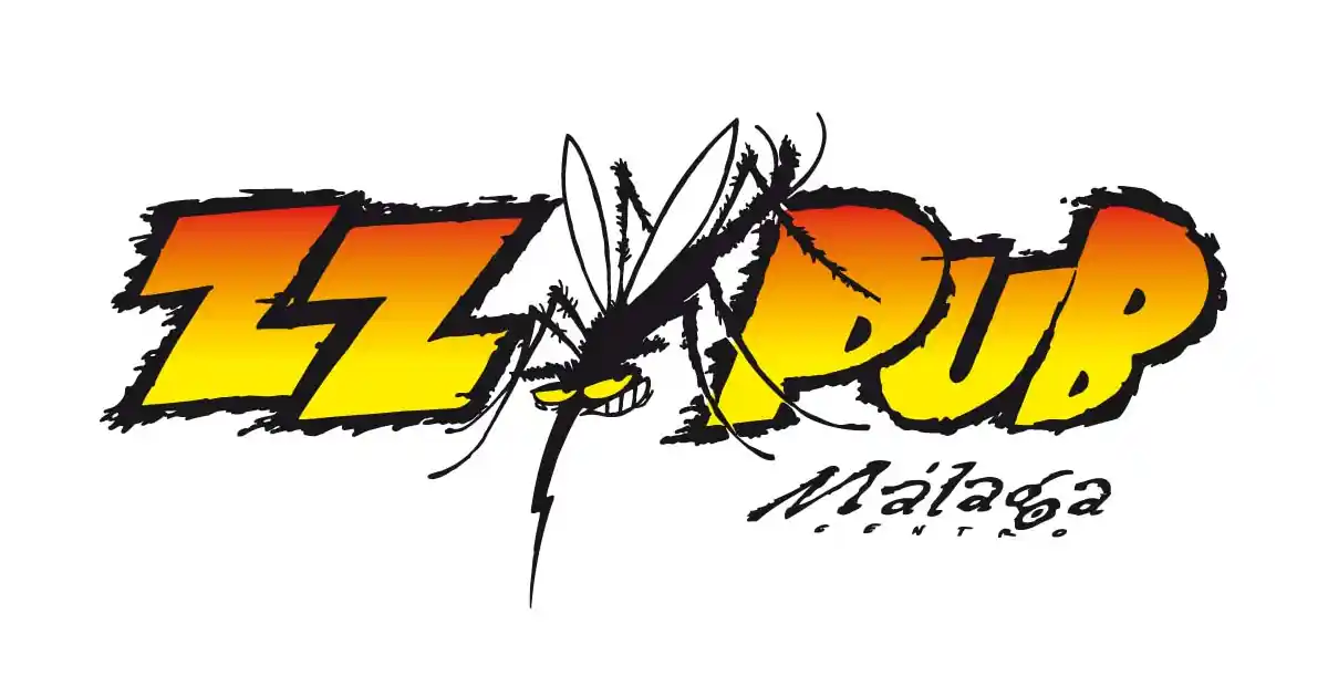 programa musica en vivo malaga zzpub
